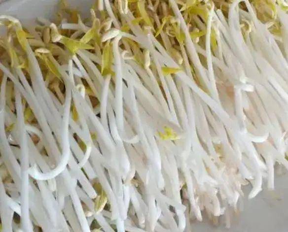 生活课堂|这8种蔬菜,老人不宜长期食用,这种南瓜竟上榜