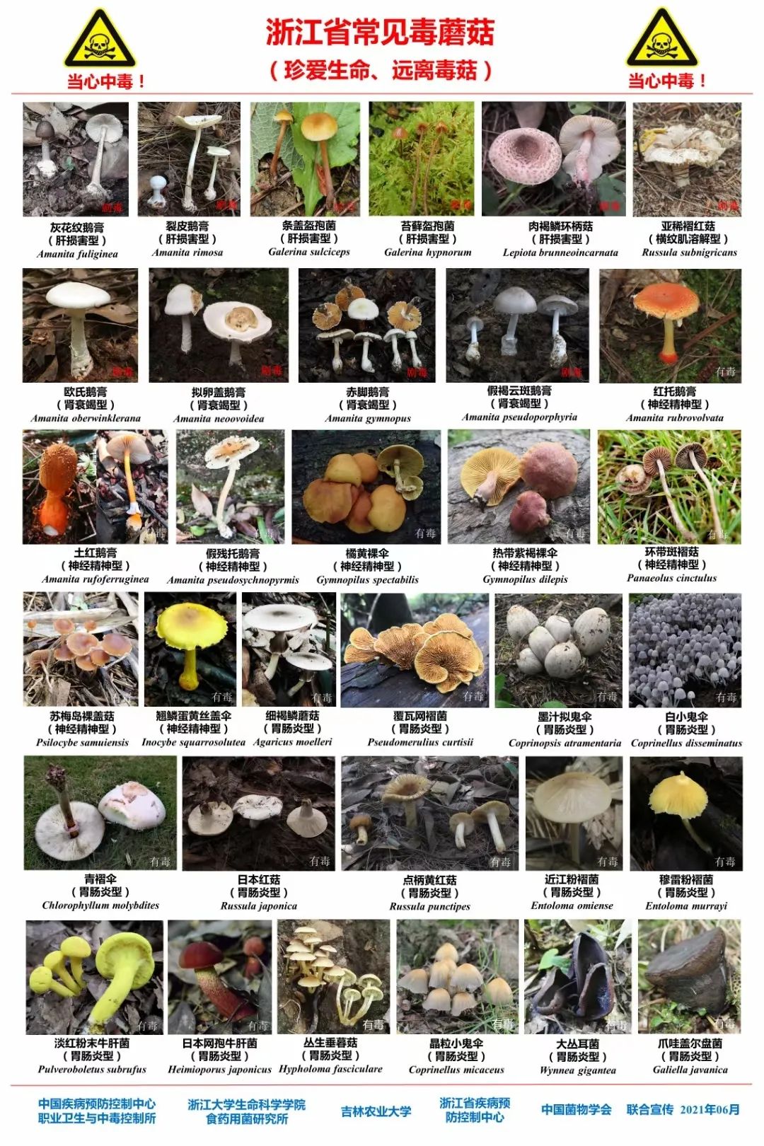 雨天过后这种食物不能碰！有剧毒！每年都有人吃丢性命~休闲区蓝鸢梦想 - Www.slyday.coM