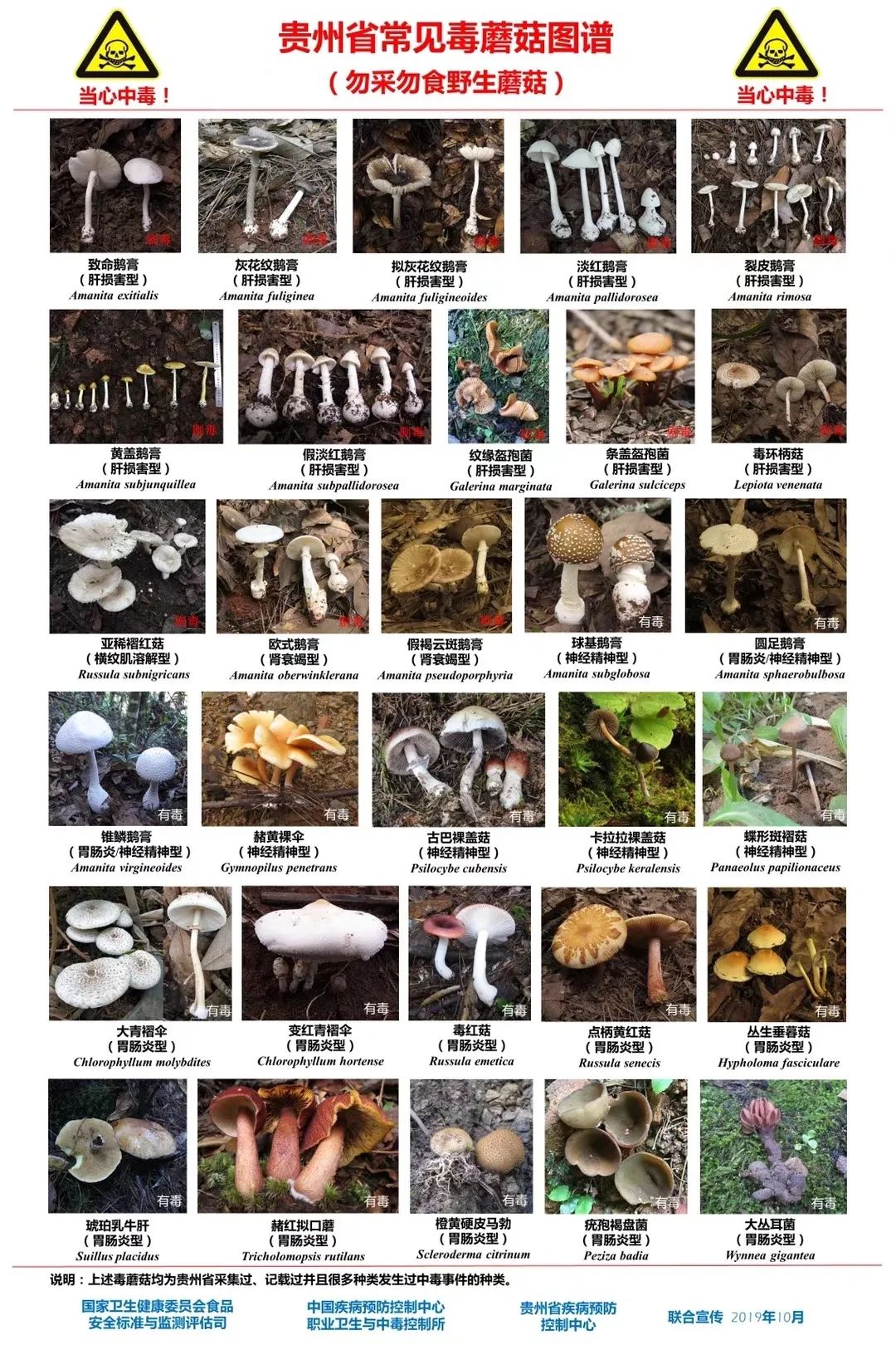 雨天过后这种食物不能碰！有剧毒！每年都有人吃丢性命~休闲区蓝鸢梦想 - Www.slyday.coM