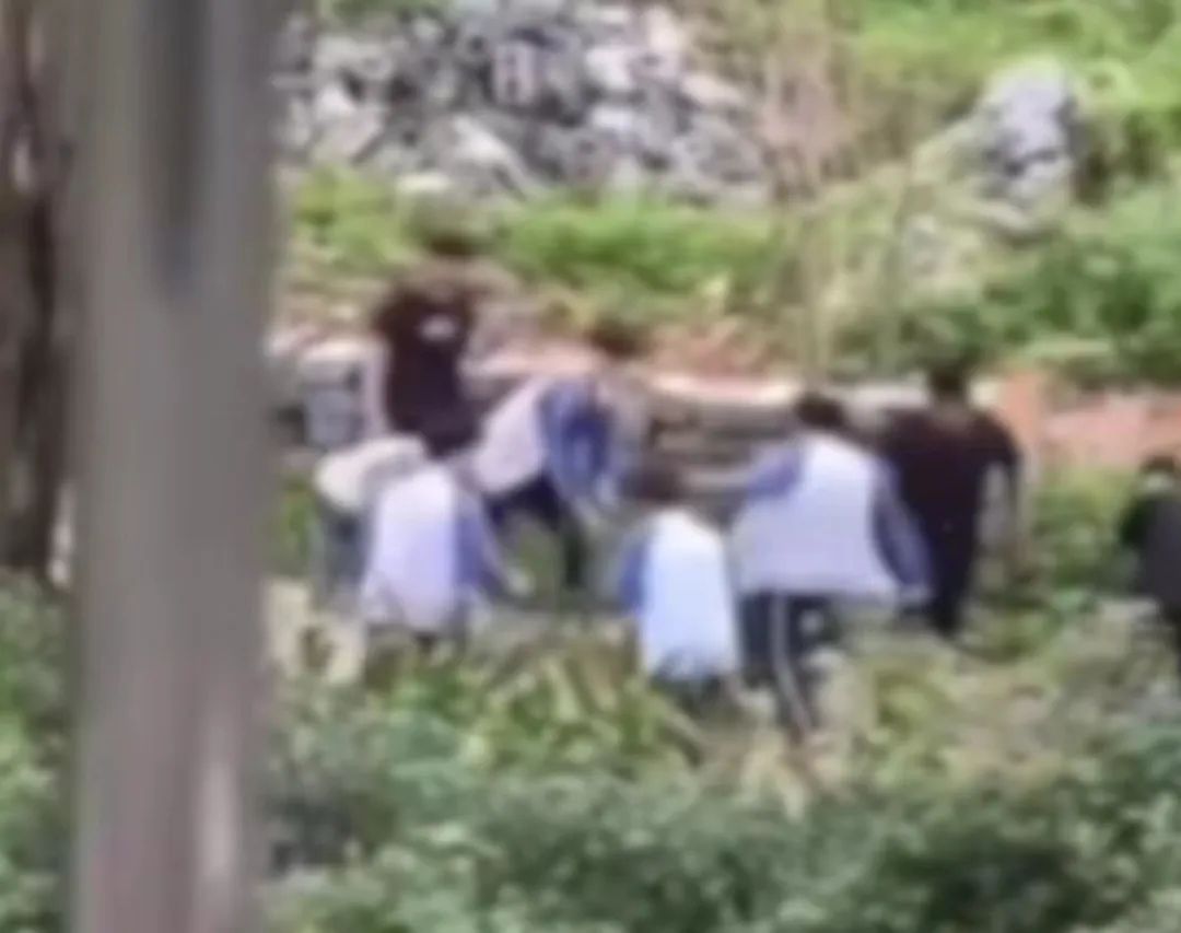 广西警方通报：学生围殴偷车贼，十人全部到案休闲区蓝鸢梦想 - Www.slyday.coM