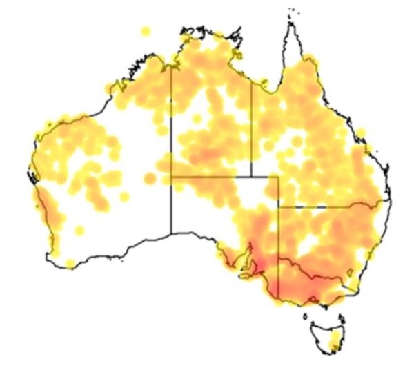 图3 赤桉在澳大利亚的分布