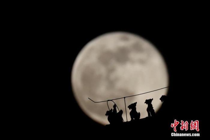 资料图：北京，2021年首次“超级月亮”现身夜空。中新社记者 盛佳鹏 摄