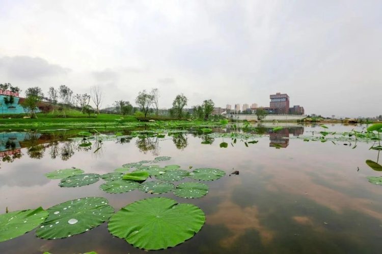 美不胜收! 有人提前到西部(重庆)科学城占地800多亩的生态公园打卡了|