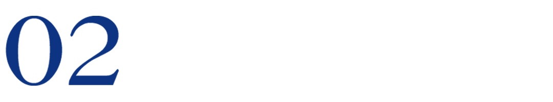 兔狲爆红，一家野生动物园的“翻身仗”休闲区蓝鸢梦想 - Www.slyday.coM