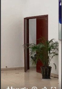 嘎子要花8亿拍战争片，自称一套单兵装备80万人民币？看完我绷不住了休闲区蓝鸢梦想 - Www.slyday.coM