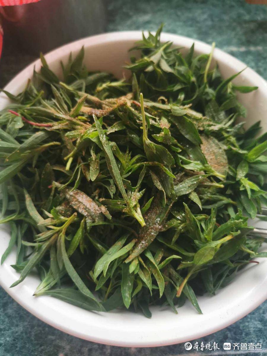 壹粉食堂夏季美味扫帚菜蒸一蒸面感十足给你的生活加点滋味