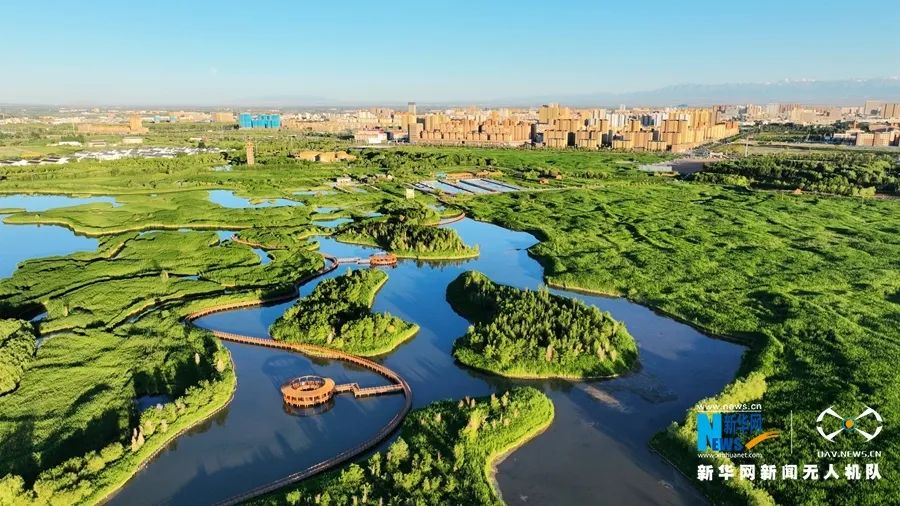 夏日航拍甘肃张掖"城市之肺"