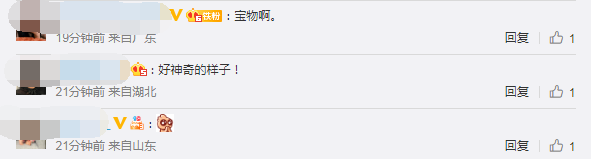 神奇！三星堆发现“龟背形网格状器”，网友：长得好像华夫饼休闲区蓝鸢梦想 - Www.slyday.coM