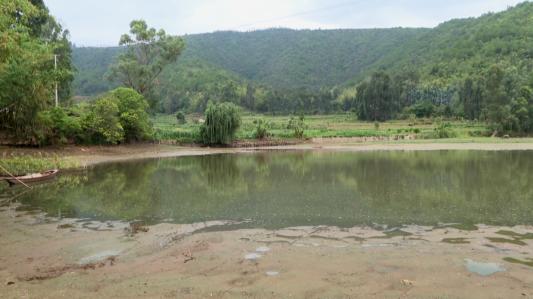 宝秀镇坚决清退鱼塘只为异龙湖水清