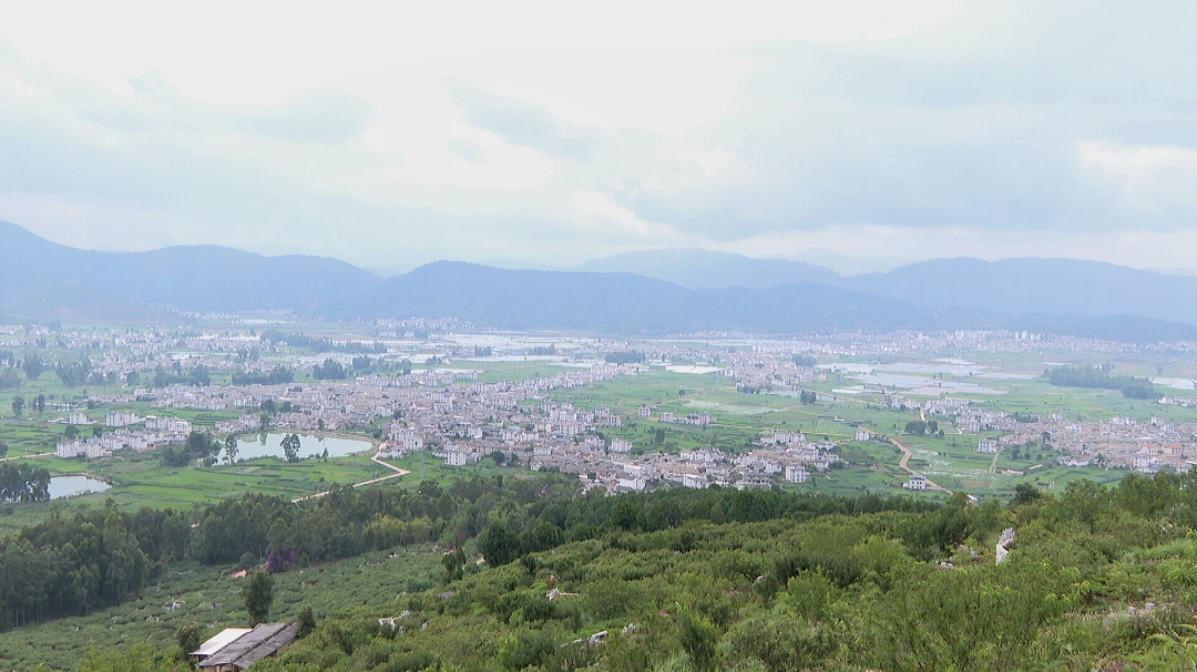 宝秀镇坚决清退鱼塘只为异龙湖水清