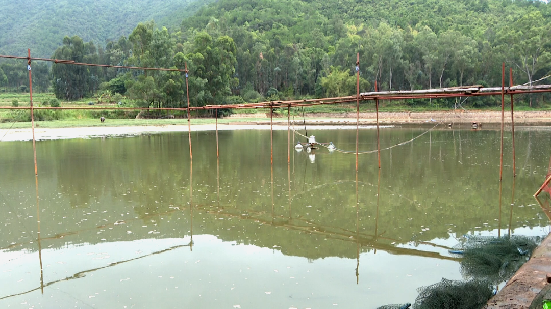 宝秀镇坚决清退鱼塘只为异龙湖水清