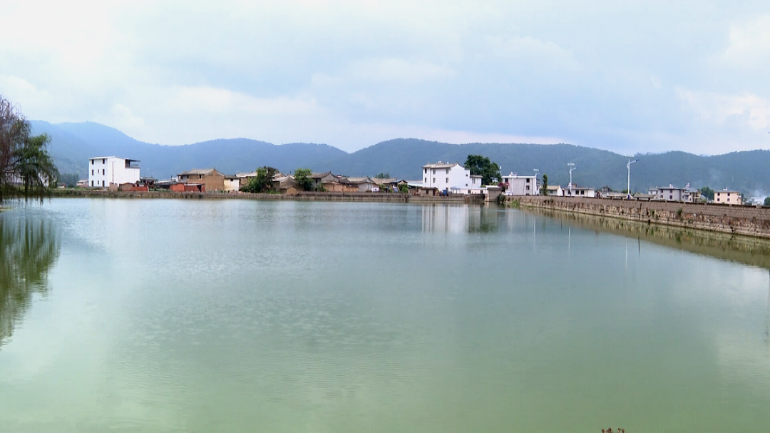 宝秀镇坚决清退鱼塘只为异龙湖水清