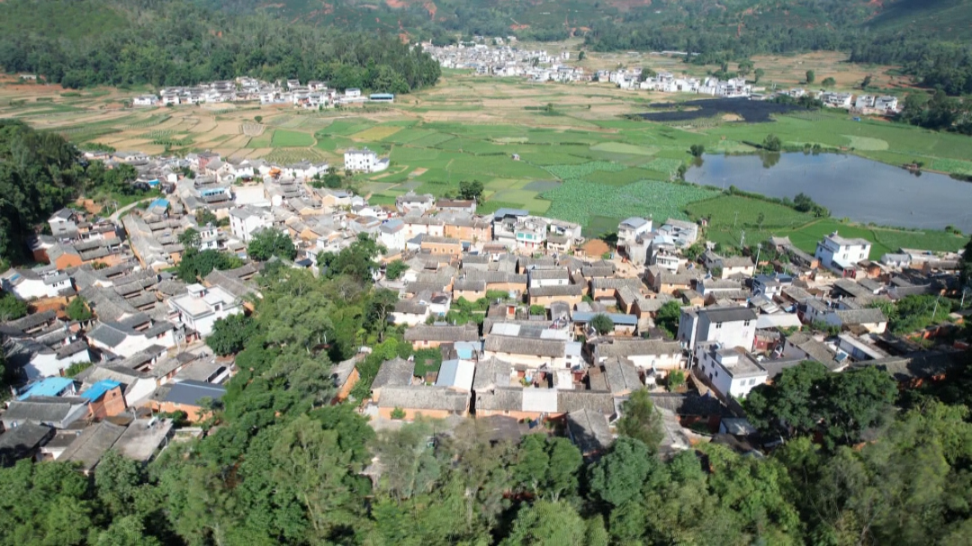 宝秀镇坚决清退鱼塘只为异龙湖水清