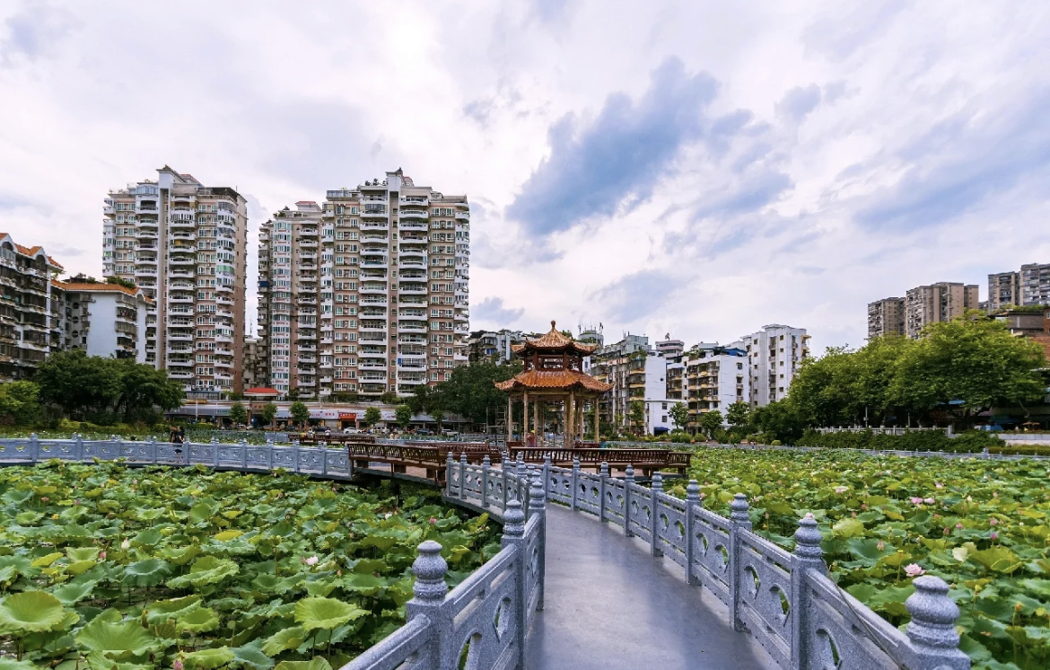 潘塘公园荷花虽美但居然有人公然做这些事