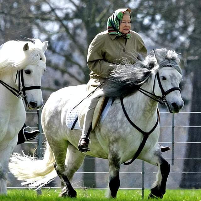 96岁英女王缺席赛马会,查尔斯王子亲吻弟媳,卡米拉表情尴尬休闲区蓝鸢梦想 - Www.slyday.coM 96岁英女王缺席赛马会,查尔斯王子亲吻弟媳,卡米拉表情尴尬休闲区蓝鸢梦想 - Www.slyday.coM