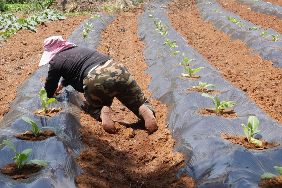 女子怀孕7个月时突发状况,产下胎儿仅有2斤,刚满月就发现不对劲休闲区蓝鸢梦想 - Www.slyday.coM 女子怀孕7个月时突发状况,产下胎儿仅有2斤,刚满月就发现不对劲休闲区蓝鸢梦想 - Www.slyday.coM