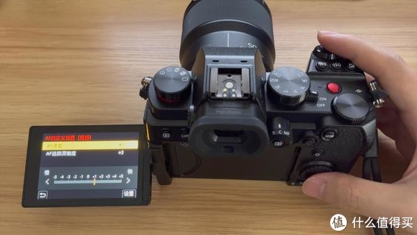 松下S5微单动物自动对焦测评，相信我，真的没有传说中那么烂休闲区蓝鸢梦想 - Www.slyday.coM