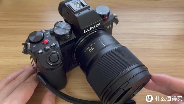 松下S5微单动物自动对焦测评，相信我，真的没有传说中那么烂休闲区蓝鸢梦想 - Www.slyday.coM