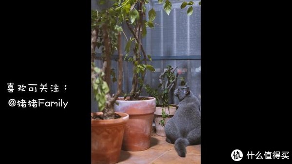 松下S5微单动物自动对焦测评，相信我，真的没有传说中那么烂休闲区蓝鸢梦想 - Www.slyday.coM