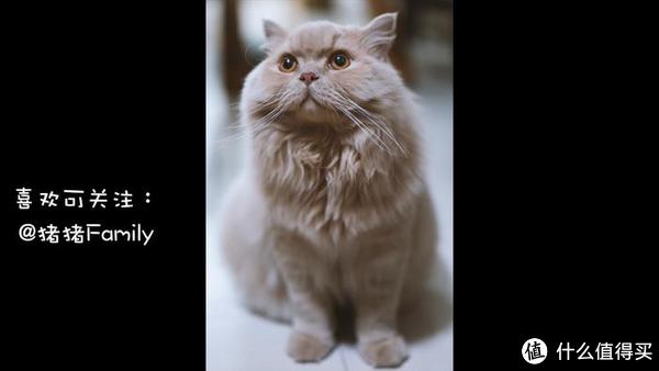 松下S5微单动物自动对焦测评，相信我，真的没有传说中那么烂休闲区蓝鸢梦想 - Www.slyday.coM