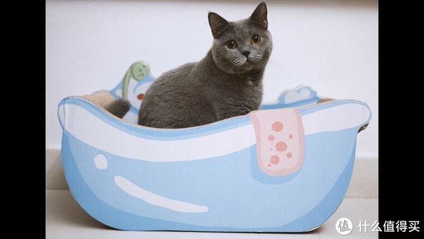 松下S5微单动物自动对焦测评，相信我，真的没有传说中那么烂休闲区蓝鸢梦想 - Www.slyday.coM