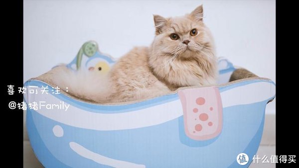 松下S5微单动物自动对焦测评，相信我，真的没有传说中那么烂休闲区蓝鸢梦想 - Www.slyday.coM