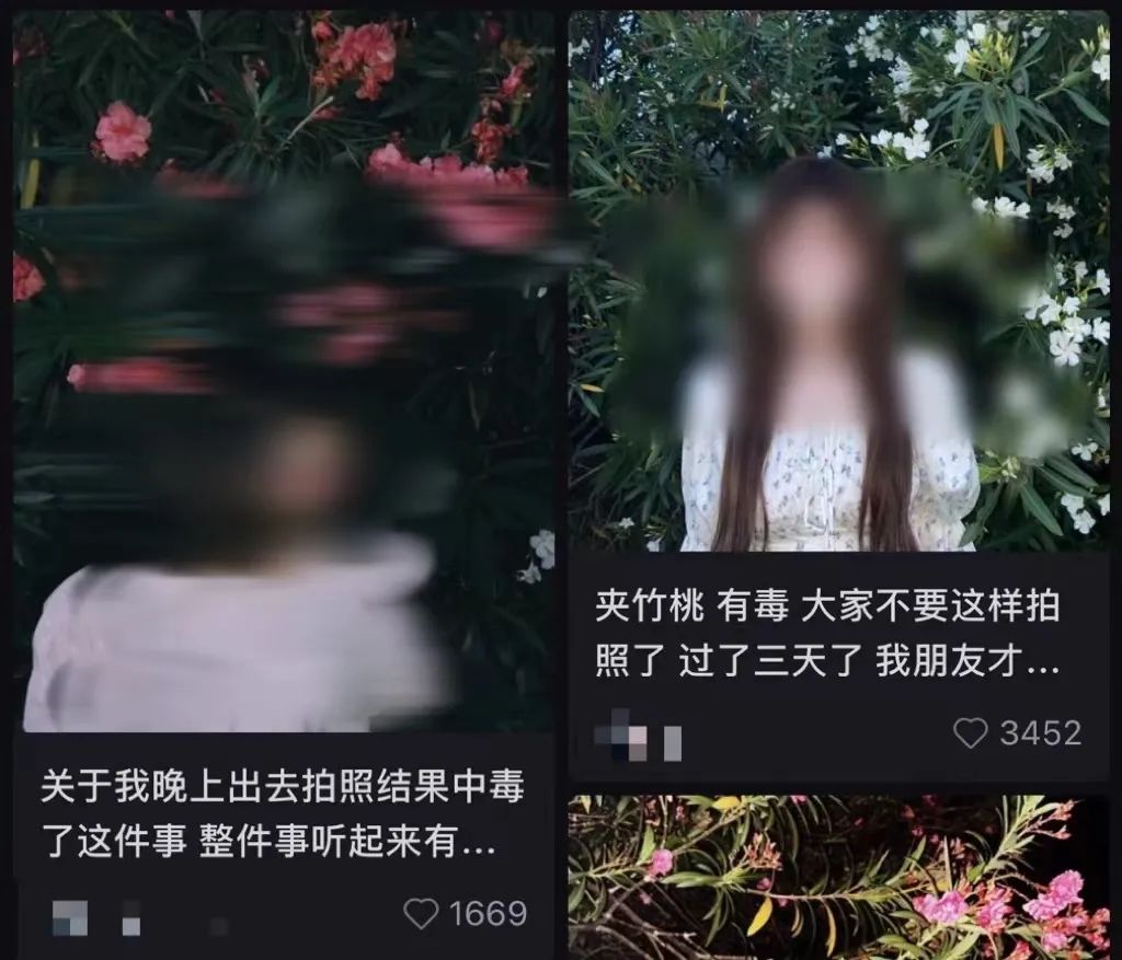 女孩这样拍照后中毒……网友：安陵容的话要信休闲区蓝鸢梦想 - Www.slyday.coM