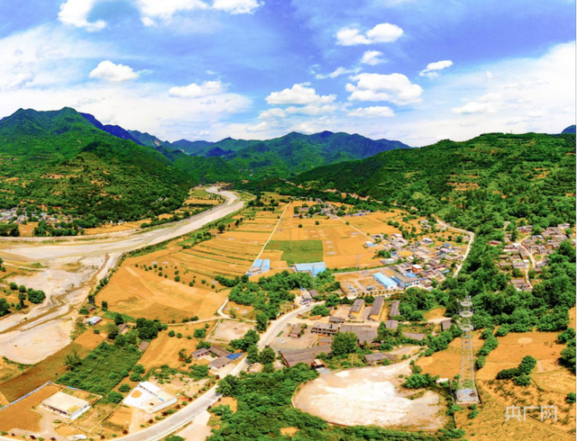 甘肃成县王磨镇王磨村连片麦田(央广网发 郭辉 摄)