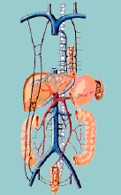 中国人的腰，是如何被毁掉的？休闲区蓝鸢梦想 - Www.slyday.coM