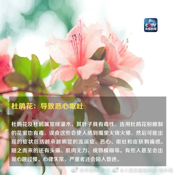 女孩这样拍照后中毒……网友：安陵容的话要信休闲区蓝鸢梦想 - Www.slyday.coM