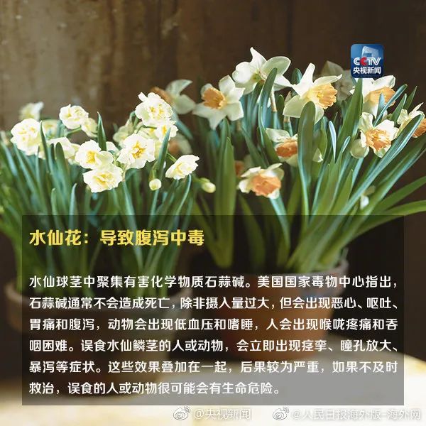 女孩这样拍照后中毒……网友：安陵容的话要信休闲区蓝鸢梦想 - Www.slyday.coM