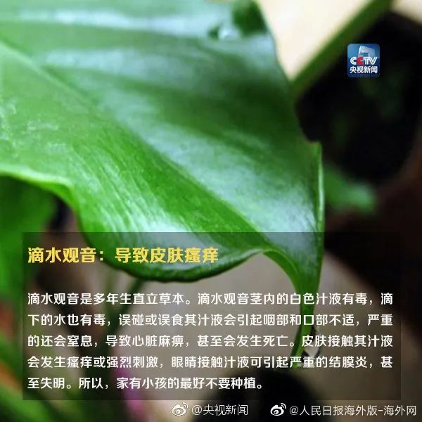 女孩这样拍照后中毒……网友：安陵容的话要信休闲区蓝鸢梦想 - Www.slyday.coM
