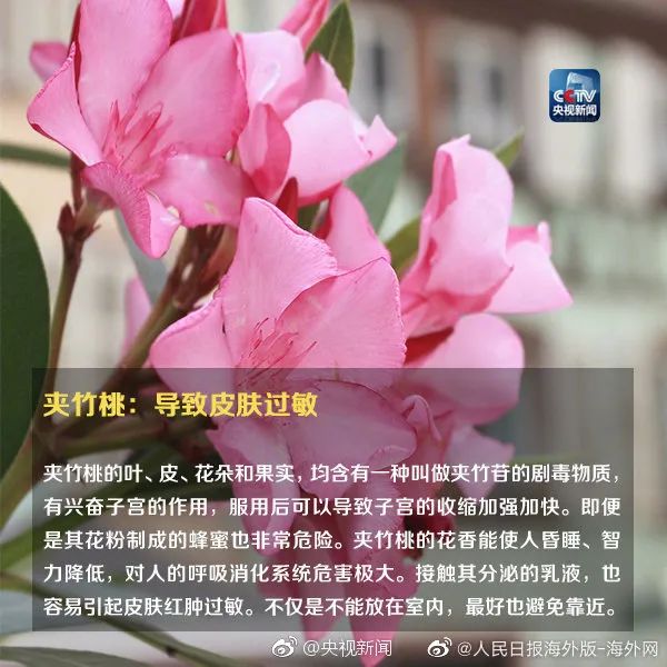 女孩这样拍照后中毒……网友：安陵容的话要信休闲区蓝鸢梦想 - Www.slyday.coM