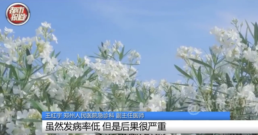 女孩这样拍照后中毒……网友：安陵容的话要信休闲区蓝鸢梦想 - Www.slyday.coM