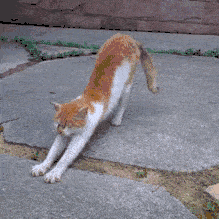 中国人的腰，是如何被毁掉的？休闲区蓝鸢梦想 - Www.slyday.coM