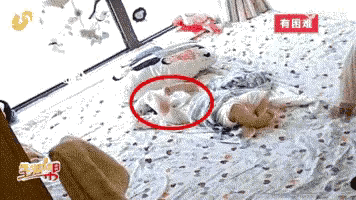 育儿嫂故意用方巾盖住90天大的宝宝脸！声称自己在给孩子做早教？休闲区蓝鸢梦想 - Www.slyday.coM