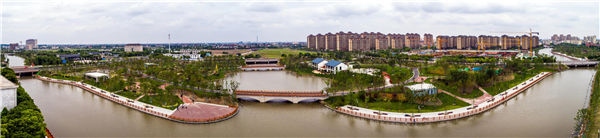 金山区全面推行林长制，森林覆盖率超过14%休闲区蓝鸢梦想 - Www.slyday.coM