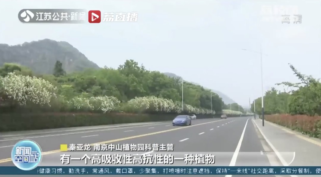 女孩这样拍照后中毒……网友：安陵容的话要信休闲区蓝鸢梦想 - Www.slyday.coM