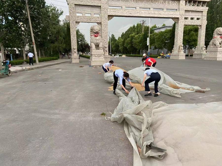 博兴农商银行寨郝党支部:雷雨天气堆麦忙,党员员工来帮忙