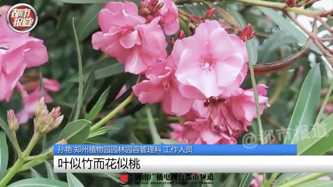 女孩这样拍照后中毒……网友：安陵容的话要信休闲区蓝鸢梦想 - Www.slyday.coM