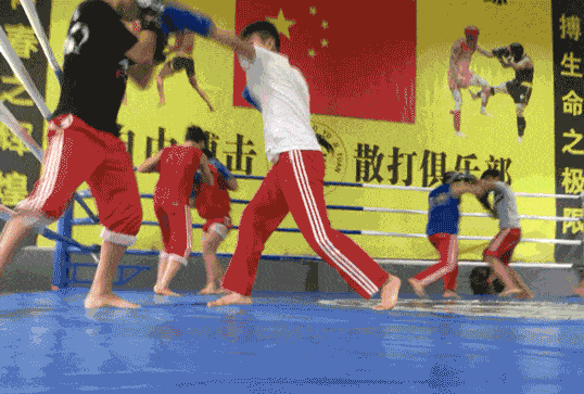 邯郸是武术之乡,有很多知名武校,12岁那年,张伟丽便去了离家30公里外