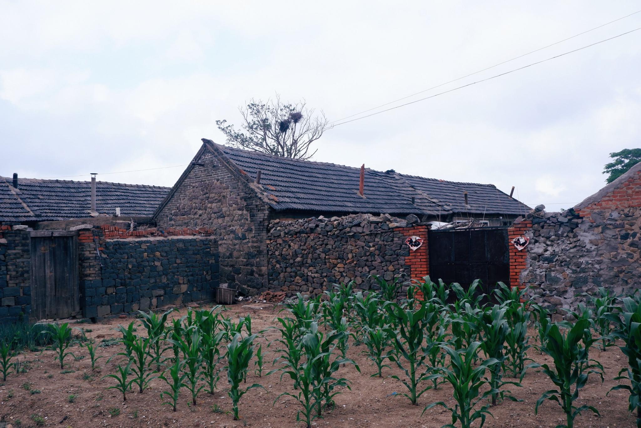 山东600年前海防古城,至今还有居民,没有商铺,真正的卫所重镇休闲区蓝鸢梦想 - Www.slyday.coM 山东600年前海防古城,至今还有居民,没有商铺,真正的卫所重镇休闲区蓝鸢梦想 - Www.slyday.coM