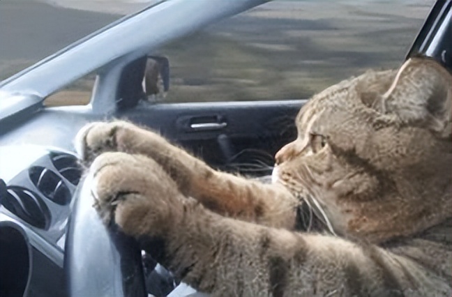 就喜欢站起来踩油门的感觉233马力的univ20t来了思域慌了