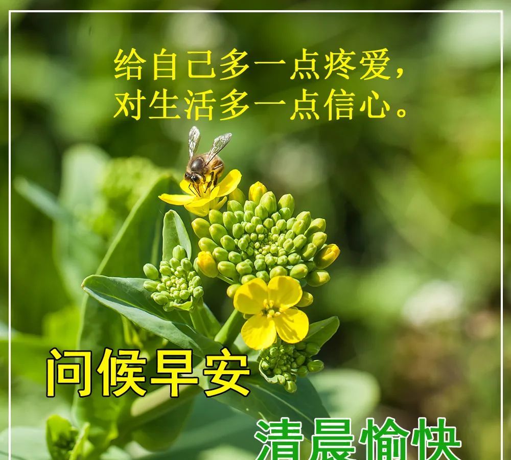 唯美夏天早安问候祝福图片精选2022年最新早安祝福语图片