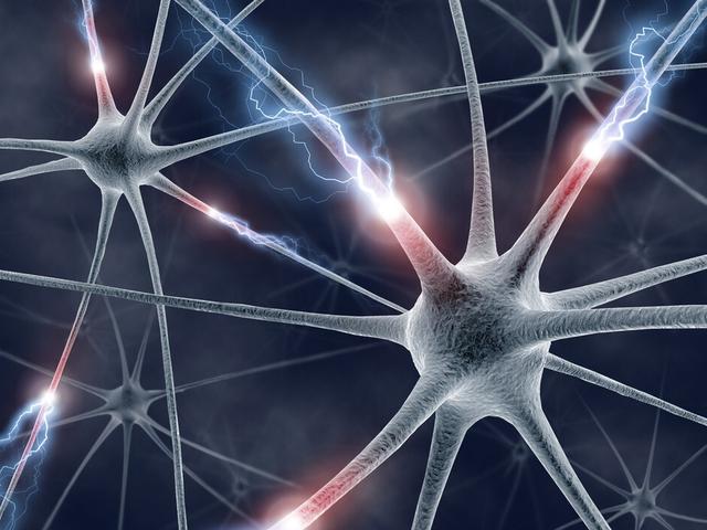 天然维生素B12找到了，中老年人常吃4类食物，营养神经预防痴呆