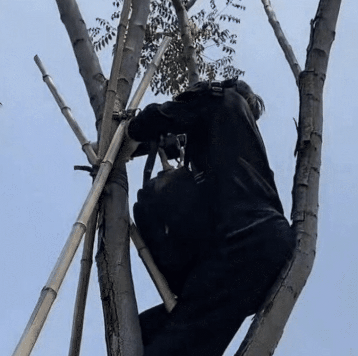 赵丽颖片场被代拍吓到！偷拍者扛相机爬树上，屋顶趴成一排太危险休闲区蓝鸢梦想 - Www.slyday.coM