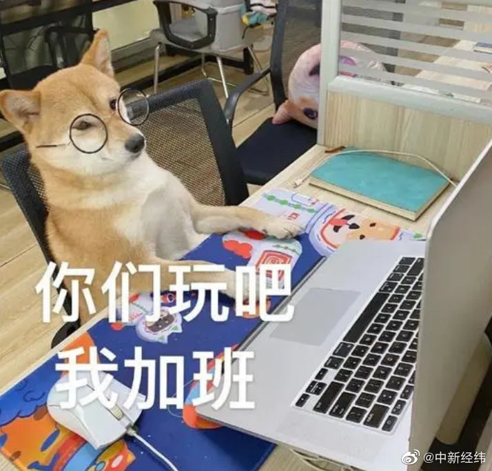 报告称近九成00后愿意主动加班 重庆薪资超上海休闲区蓝鸢梦想 - Www.slyday.coM