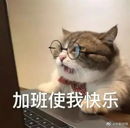 报告称近九成00后愿意主动加班 重庆薪资超上海休闲区蓝鸢梦想 - Www.slyday.coM