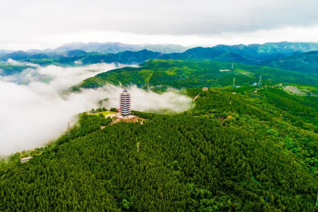 全国人大代表、林业英雄孙建博：​走在前   开新局 以绿色发展全面推进乡村振兴休闲区蓝鸢梦想 - Www.slyday.coM