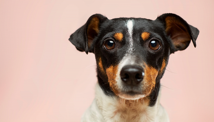 图片来源：Unsplash-Victor Grabarczyk